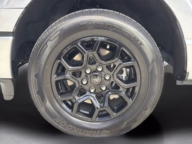 2025 Silver Metallic Ford F-150 XLT RWD Truck