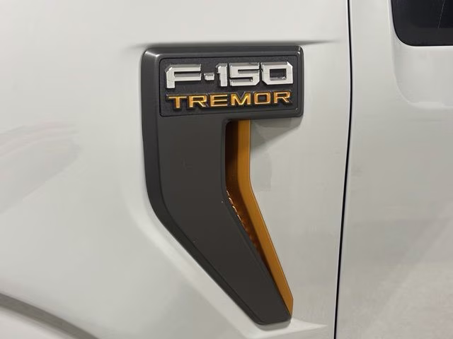 2026 Avalanche Ford F-150 Tremor 4X4 Truck