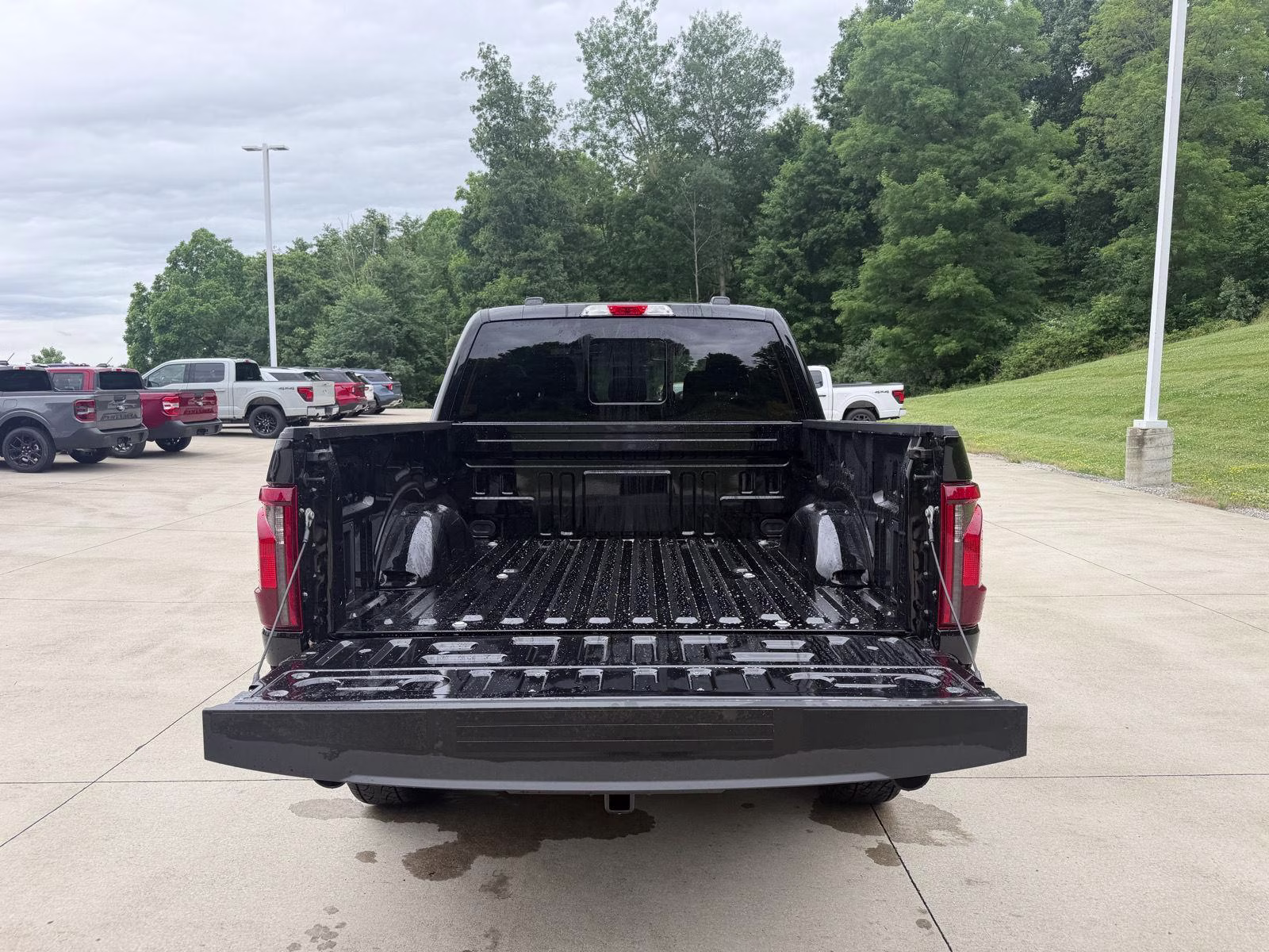 2026 Agate Black Ford F-150 XLT 4X4 Truck