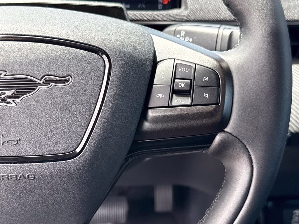 2025 Shadow Black Ford Mustang Mach-E Select AWD SUV