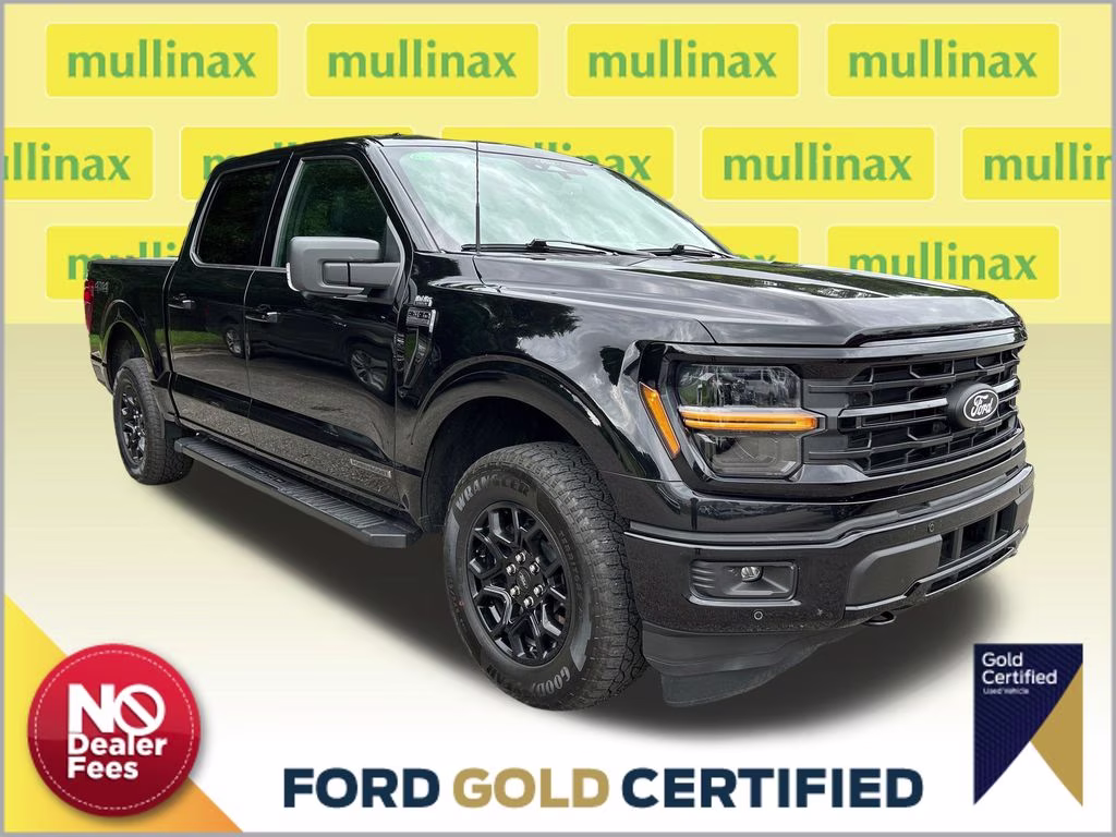 2024 Agate Black Metallic Ford F-150 XLT 4X4 Truck