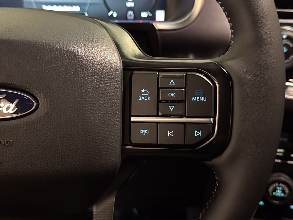 2026 Avalanche Ford F-150 Platinum 4X4 Truck