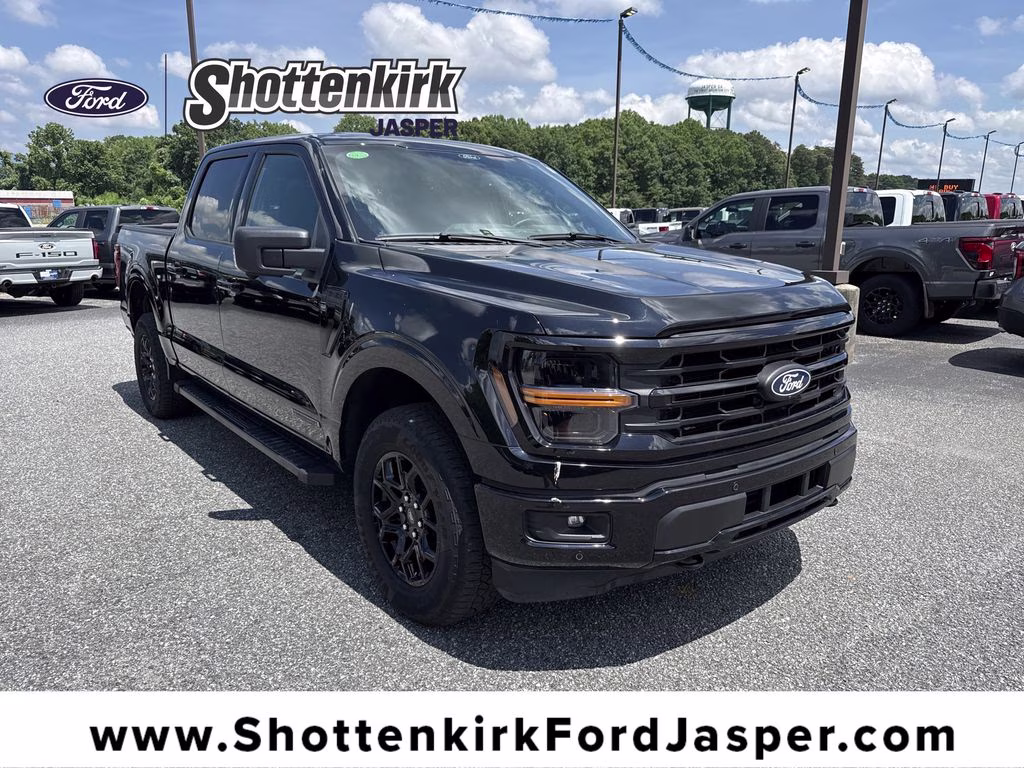 2024 Agate Black Metallic Ford F-150 XLT 4X4 Truck
