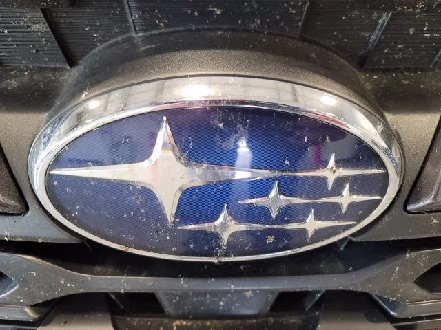 2024 Gray Metallic Subaru Outback Limited AWD SUV