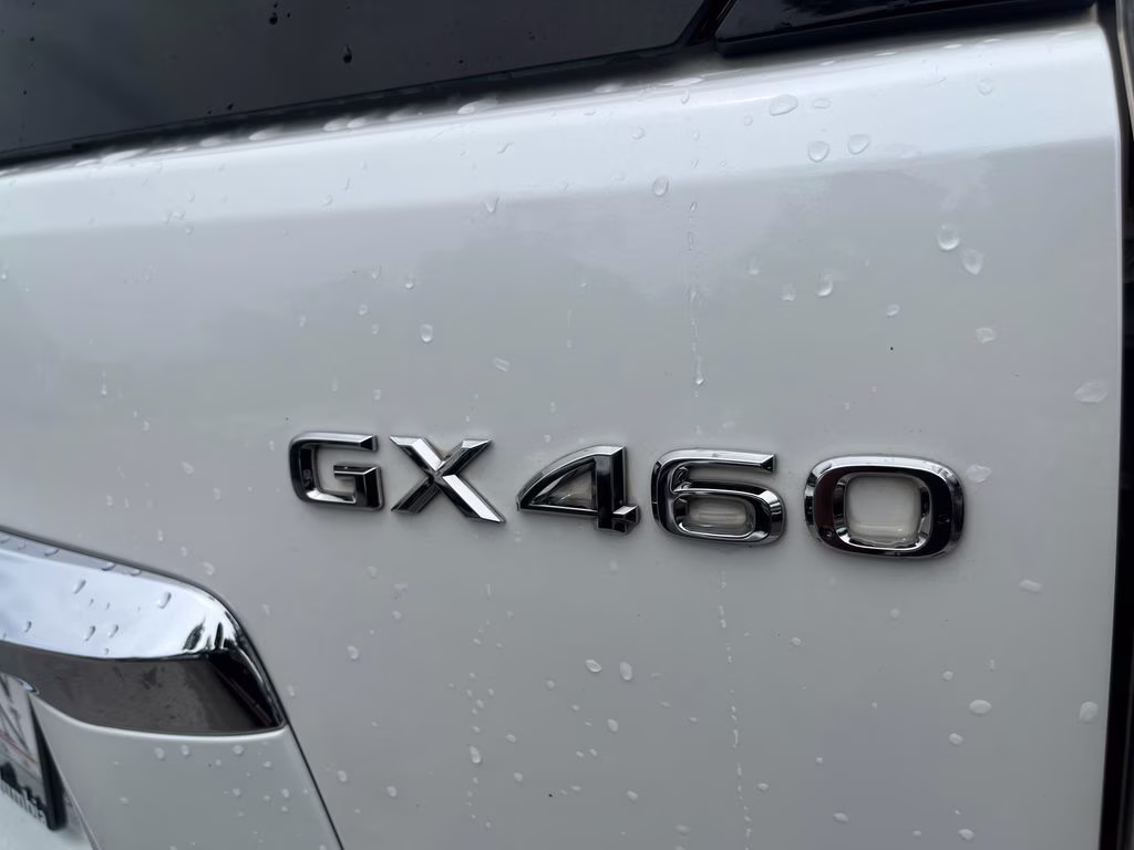 2017 Starfire Pearl Lexus GX 460 4X4 SUV