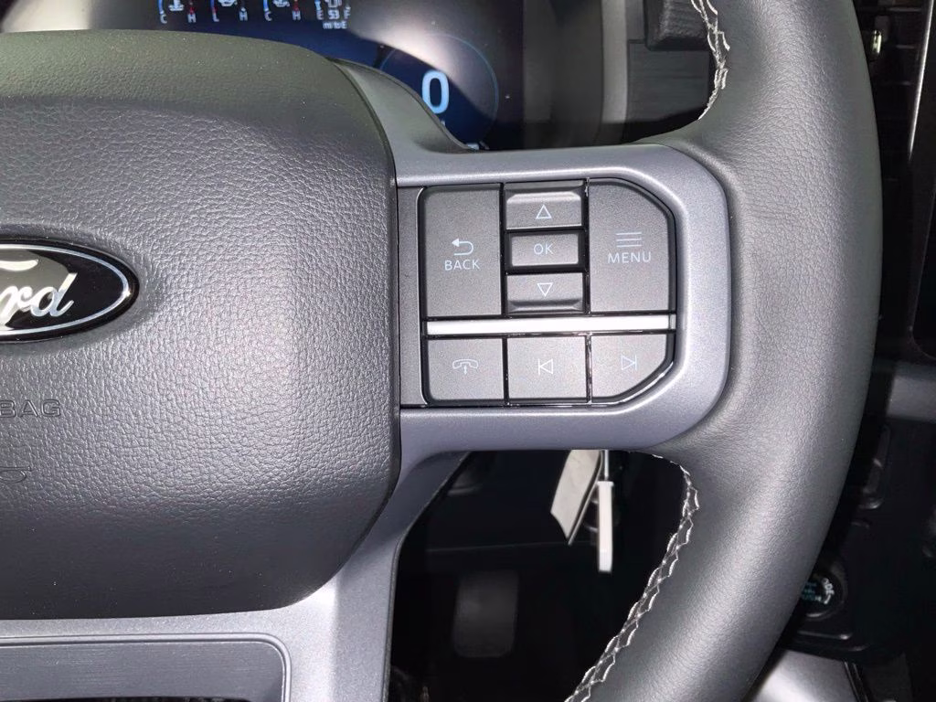 2026 Gray Metallic Ford F-150 XLT RWD Truck