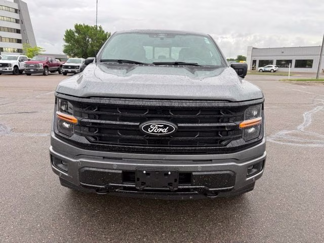 2025 Carbonized Gray Metallic Ford F-150 XLT 4X4 Truck