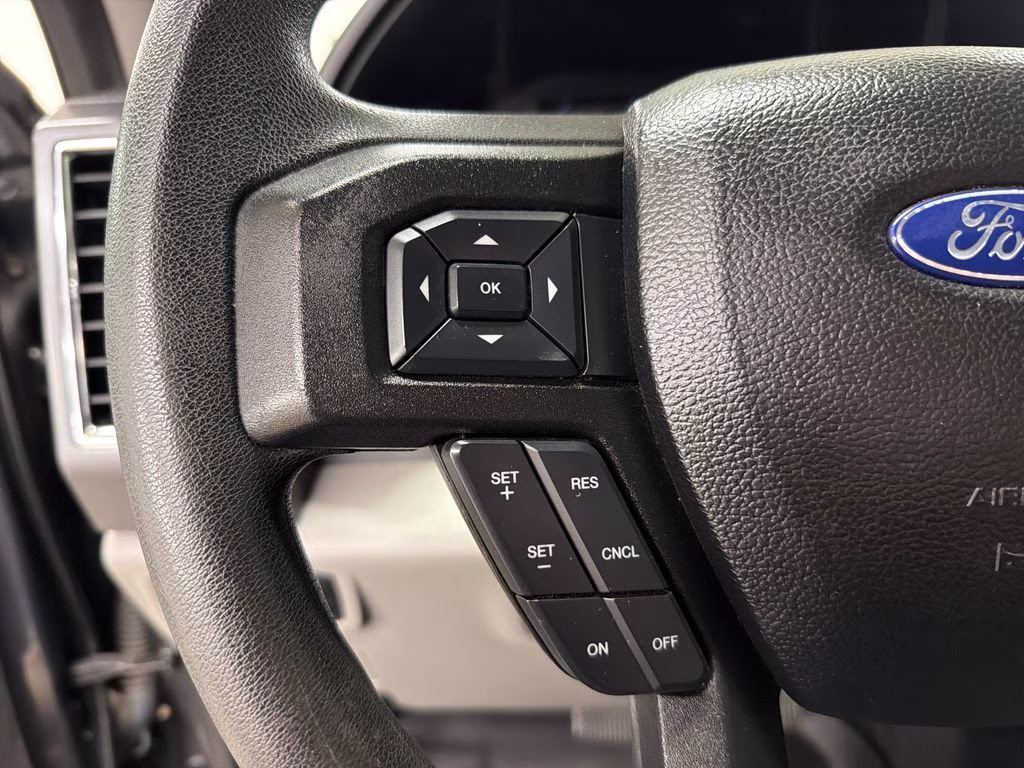 2017 Magnetic Ford Super Duty F-250 SRW XLT 4X4 Truck