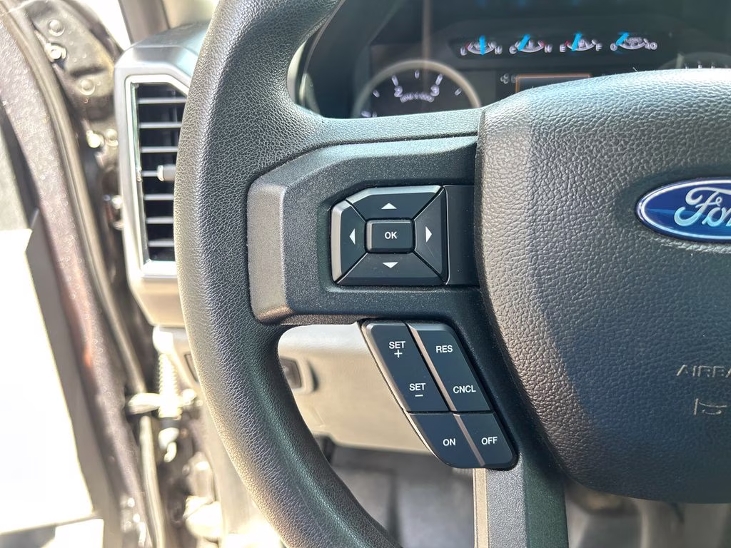 2017 Magnetic Ford Super Duty F-250 SRW XLT 4X4 Truck