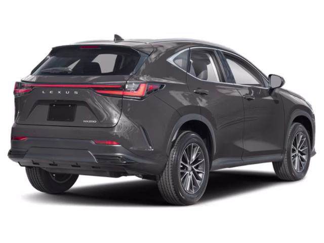 2024 Cloudburst Gray Lexus NX NX 250 Premium FWD SUV