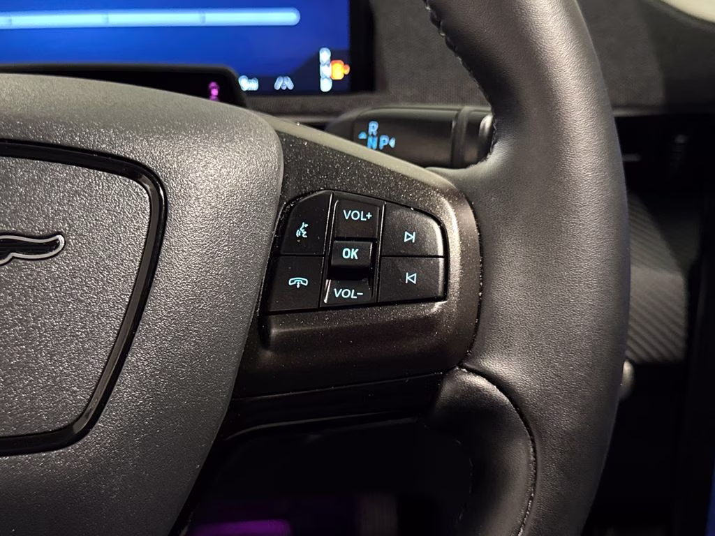 2025 Magenta Ford Mustang Mach-E Premium RWD SUV