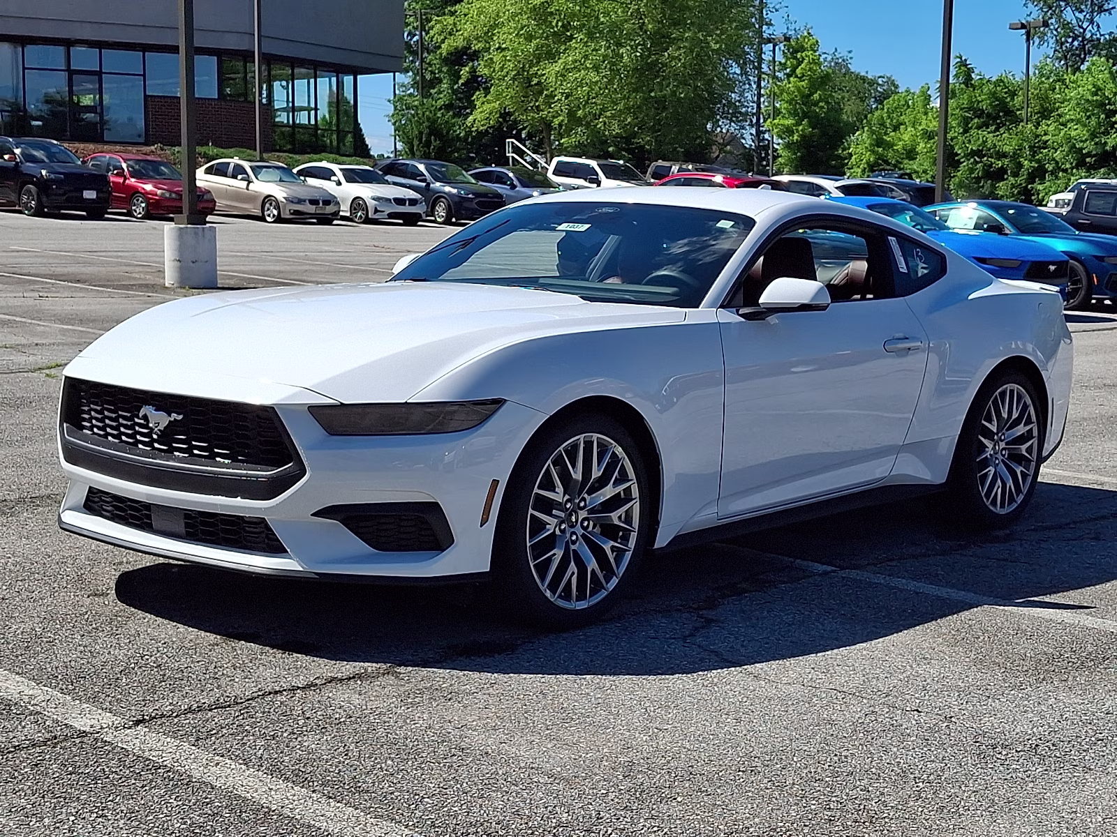 2026 Oxford White - YZ Ford Mustang EcoBoost Fastback RWD