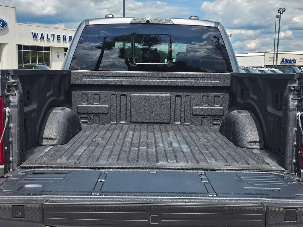 2024 Carbonized Gray Metallic Ford F-150 Raptor 4X4 Truck