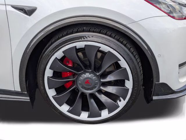 2020 Pearl White Multi-Coat Tesla Model Y Performance AWD SUV