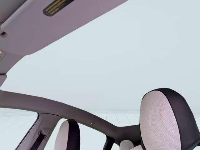 2020 Pearl White Multi-Coat Tesla Model Y Performance AWD SUV