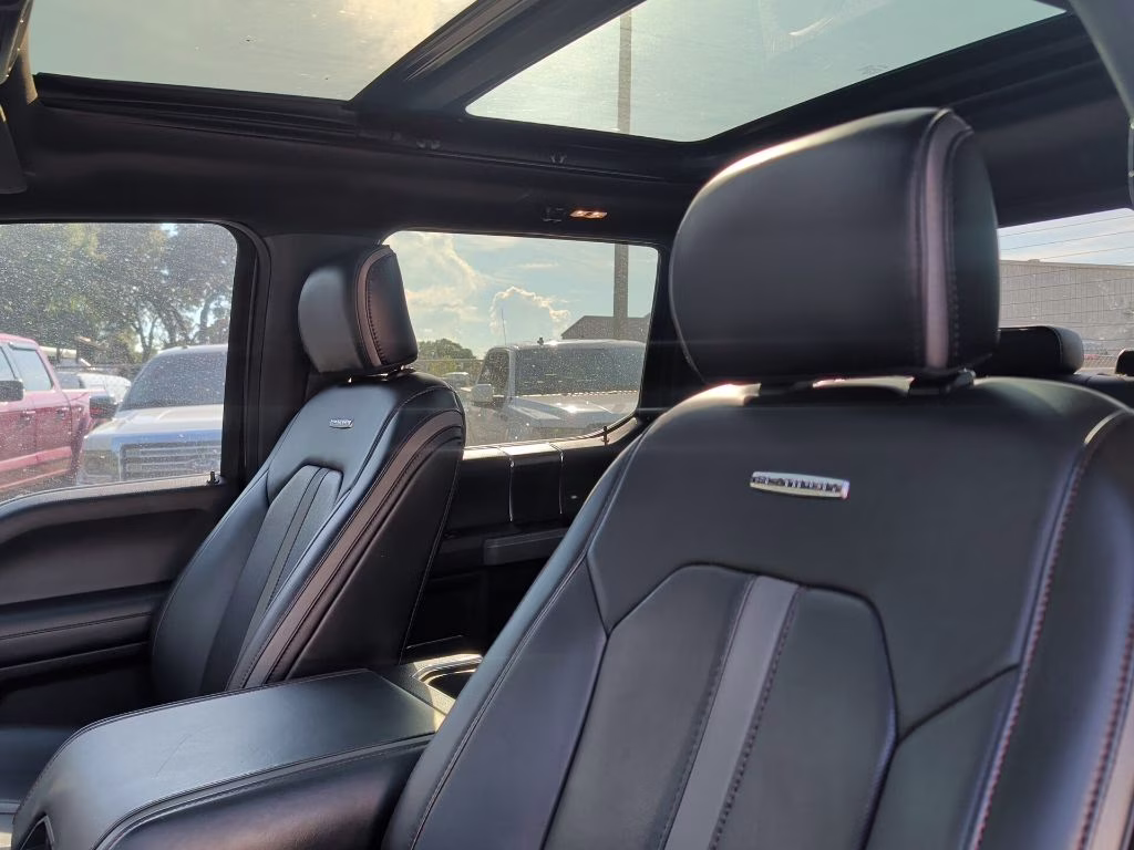 2018 Magnetic Metallic Ford F-150 Platinum 4X4 Truck