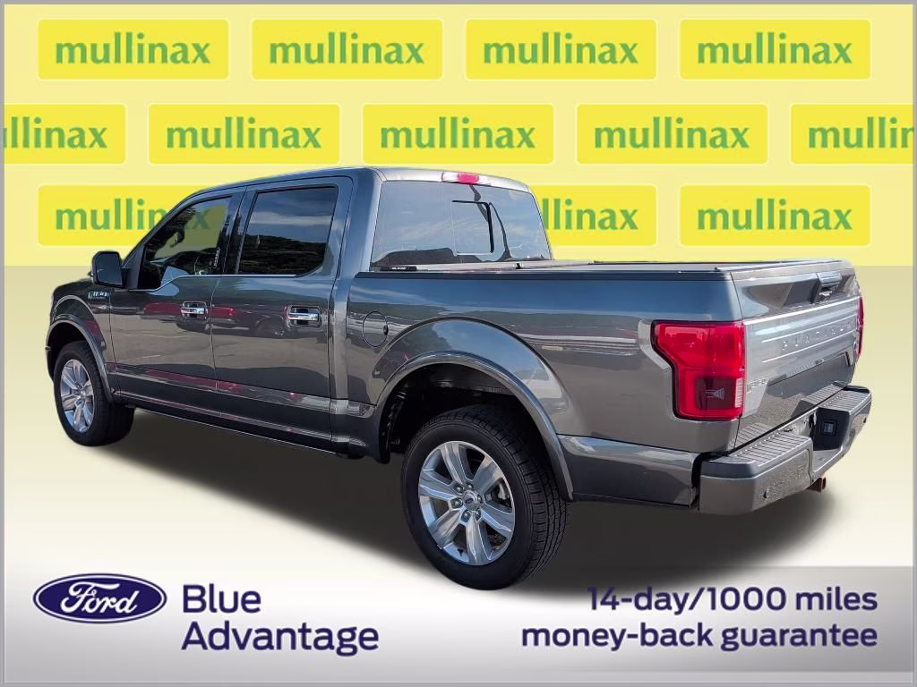2018 Magnetic Metallic Ford F-150 Platinum 4X4 Truck