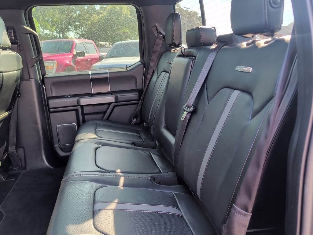 2018 Magnetic Metallic Ford F-150 Platinum 4X4 Truck