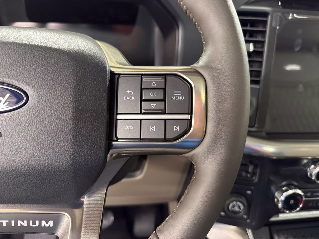 2026 AGATE BLACK Ford F-150 Platinum 4X4 Truck