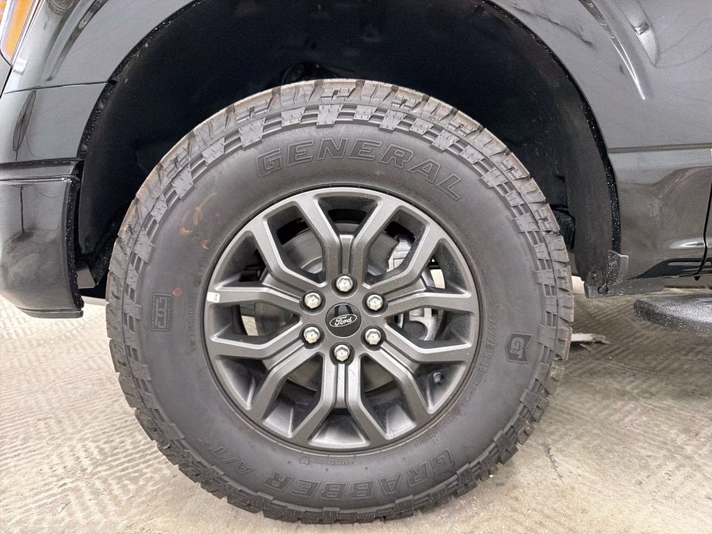 2026 AGATE BLACK Ford F-150 Tremor 4X4 Truck
