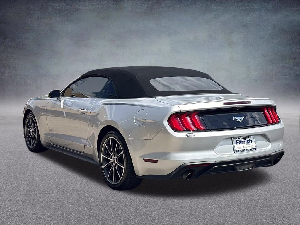 2019 Ingot Silver Ford Mustang EcoBoost Premium RWD Convertible