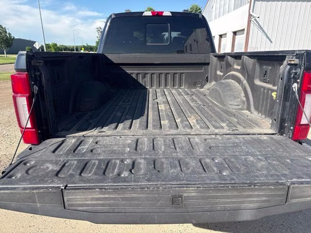 2020 Black Ford Super Duty F-250 SRW Platinum 4X4 Truck