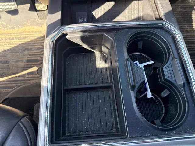 2020 Black Ford Super Duty F-250 SRW Platinum 4X4 Truck
