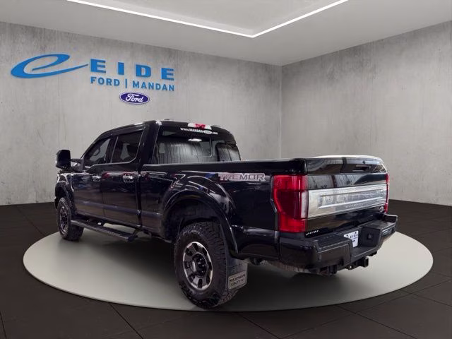 2020 Black Ford Super Duty F-250 SRW Platinum 4X4 Truck