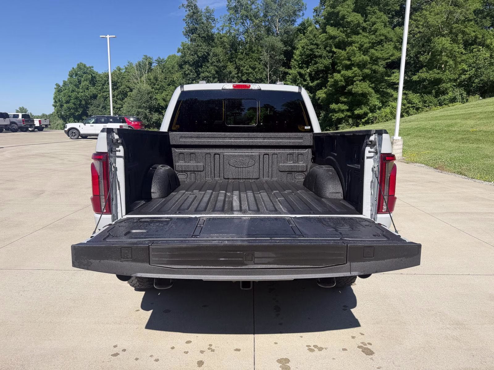 2024 Avalanche Gray Ford F-150 Tremor 4X4 Truck