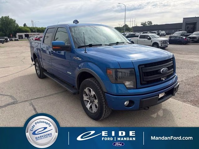 2013 Blue Flame Metallic Ford F-150 FX4 4X4 Truck