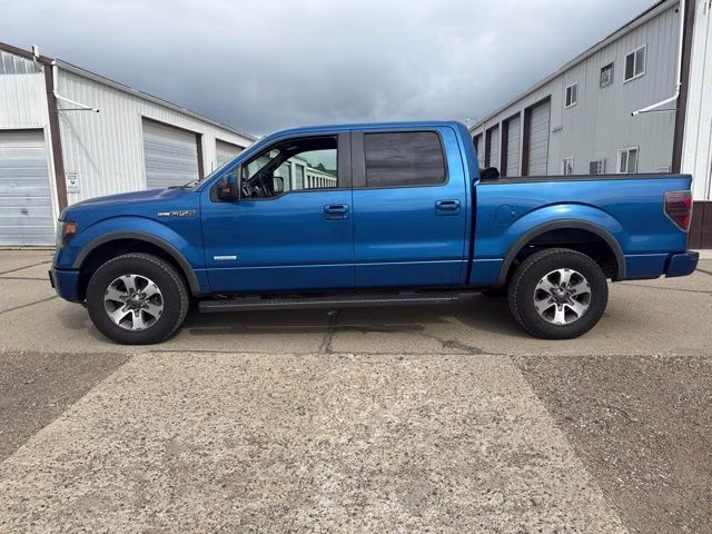 2013 Blue Flame Metallic Ford F-150 FX4 4X4 Truck
