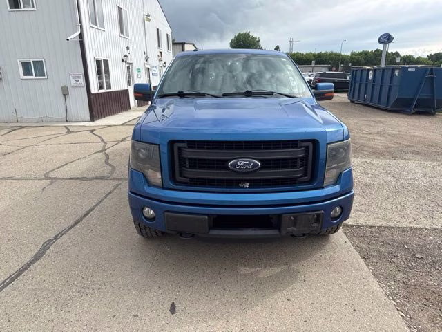 2013 Blue Flame Metallic Ford F-150 FX4 4X4 Truck