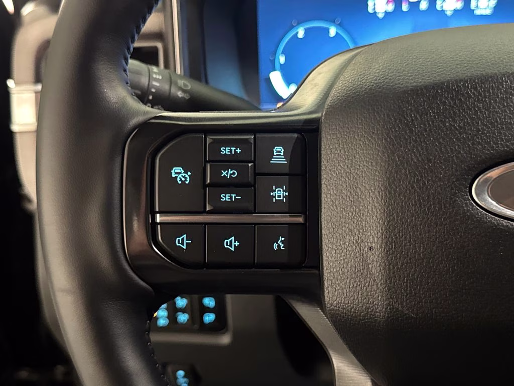 2025 Agate Black Metallic Ford Super Duty F-250 SRW Platinum 4X4 Truck