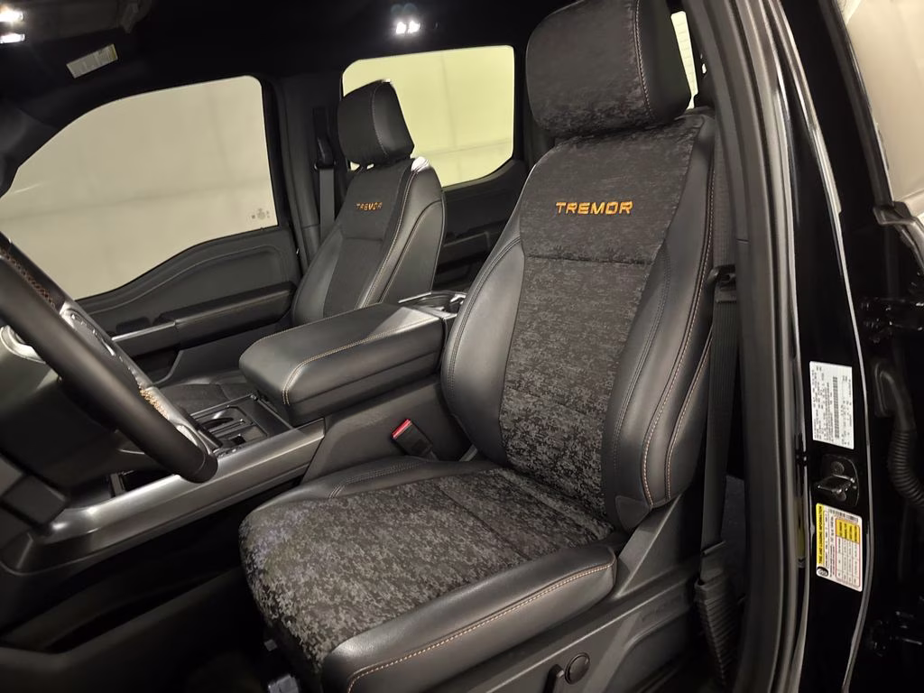 2025 Black Metallic Ford F-150 Tremor 4X4 Truck