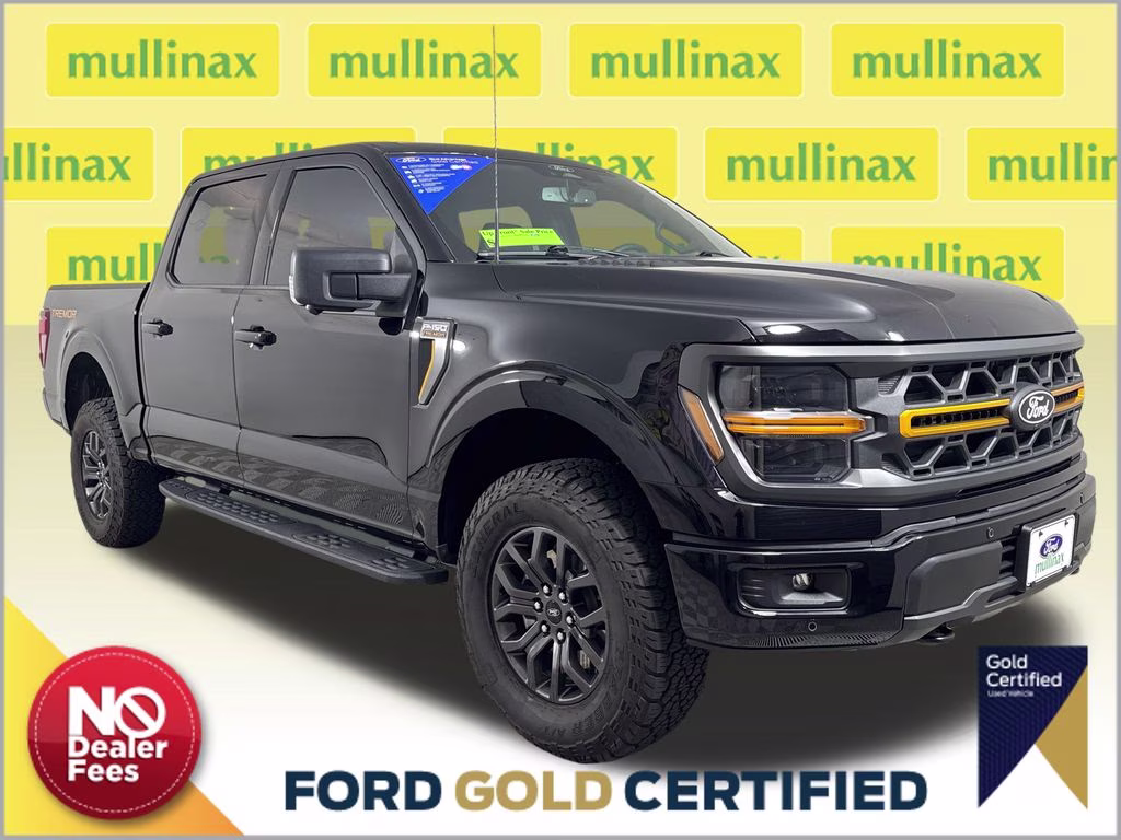 2025 Black Metallic Ford F-150 Tremor 4X4 Truck