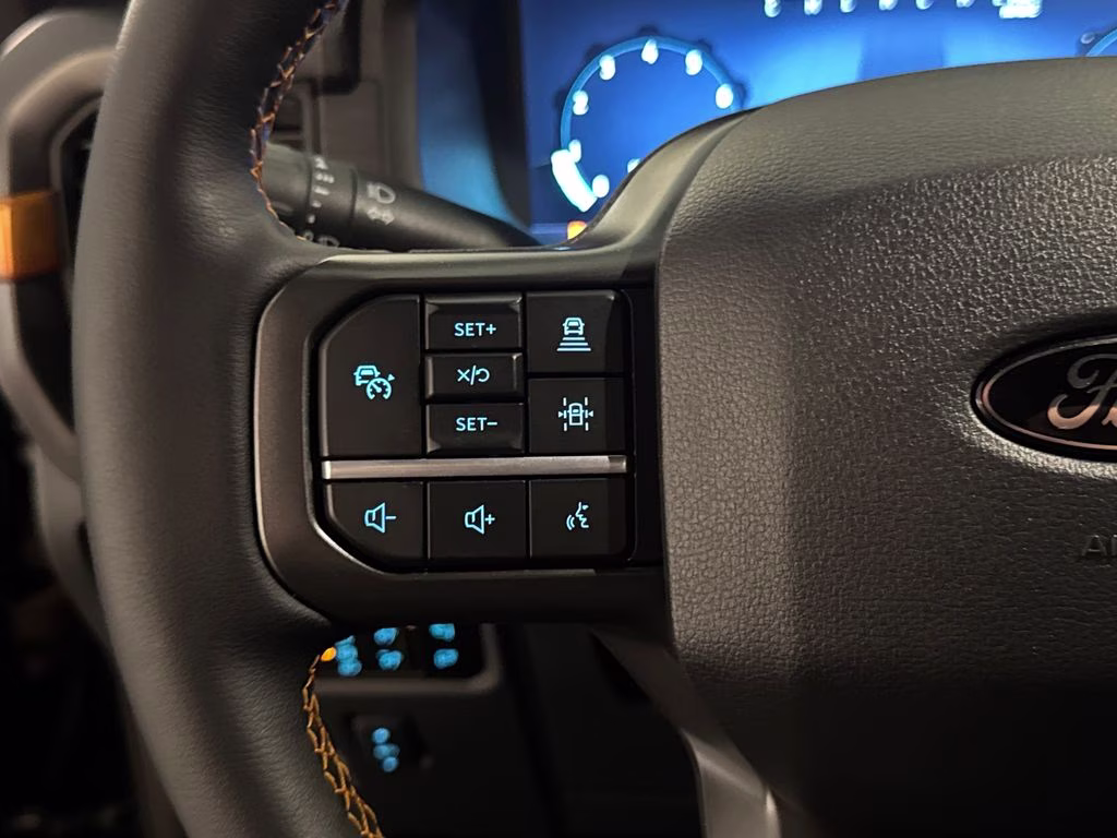 2025 Black Metallic Ford F-150 Tremor 4X4 Truck