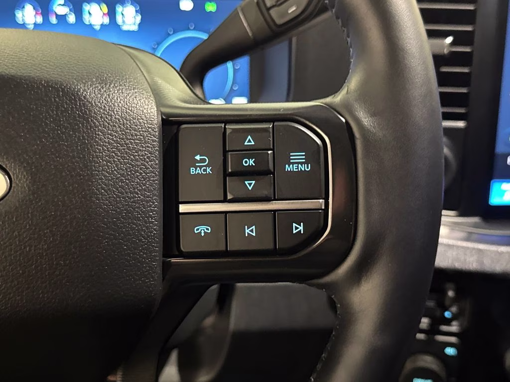 2025 Agate Black Metallic Ford Super Duty F-250 SRW Platinum 4X4 Truck