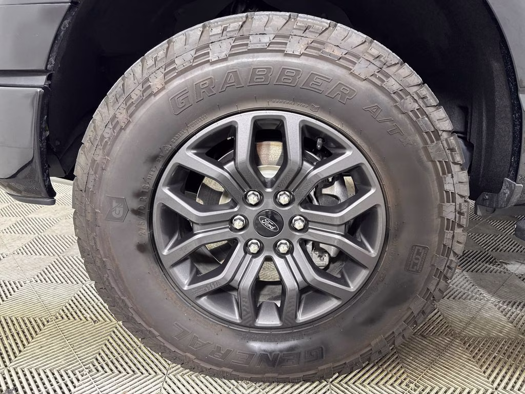 2025 Black Metallic Ford F-150 Tremor 4X4 Truck