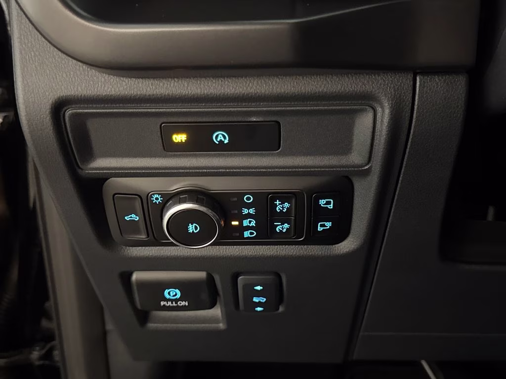 2025 Black Metallic Ford F-150 Tremor 4X4 Truck
