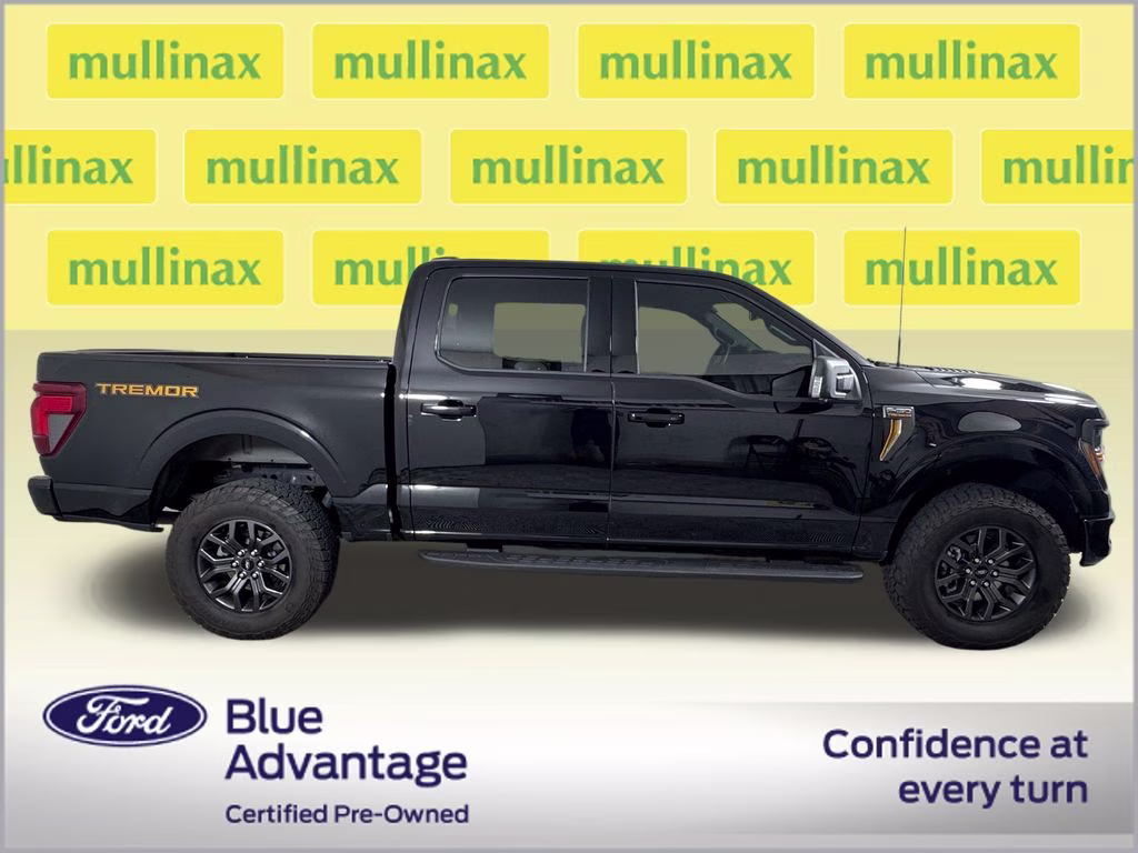 2025 Black Metallic Ford F-150 Tremor 4X4 Truck