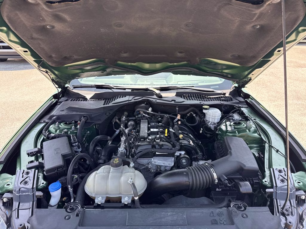 2023 Eruption Green Metallic Ford Mustang EcoBoost Premium RWD Coupe