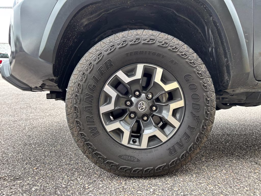 2023 Magnetic Gray Metallic Toyota Tacoma TRD Off-Road RWD Truck