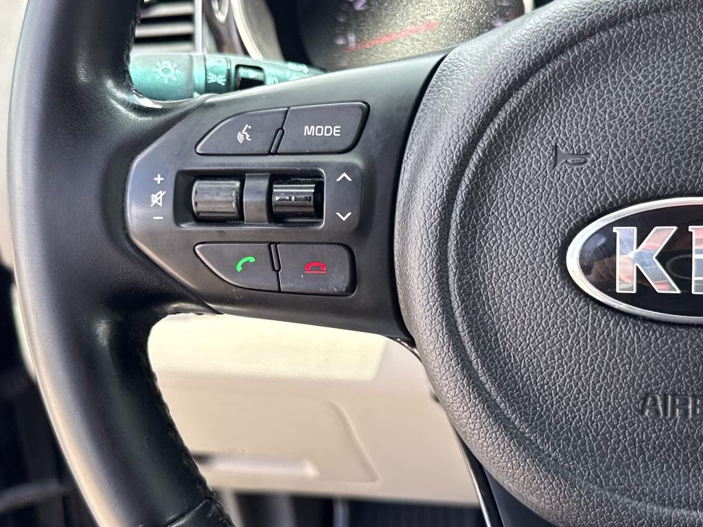 2017 Platinum Graphite Kia Sedona SX FWD Van