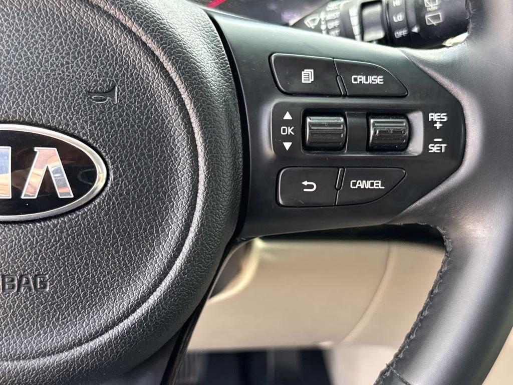 2017 Platinum Graphite Kia Sedona SX FWD Van
