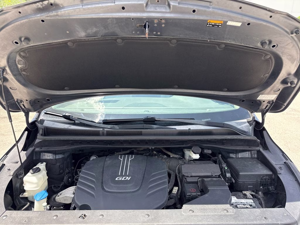 2017 Platinum Graphite Kia Sedona SX FWD Van