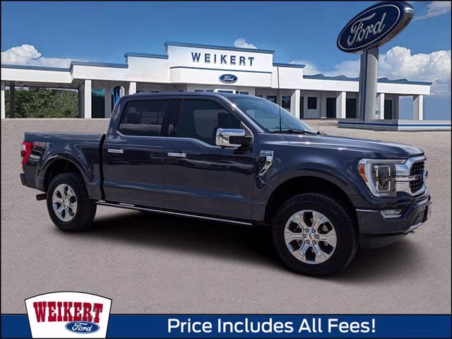 2021 Quartz Metallic Ford F-150 Platinum 4X4 Truck
