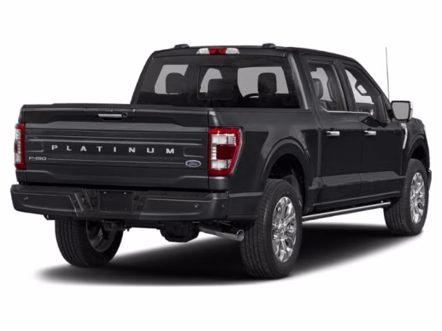 2021 Quartz Metallic Ford F-150 Platinum 4X4 Truck
