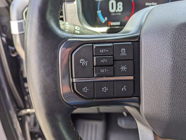 2021 Quartz Metallic Ford F-150 Platinum 4X4 Truck
