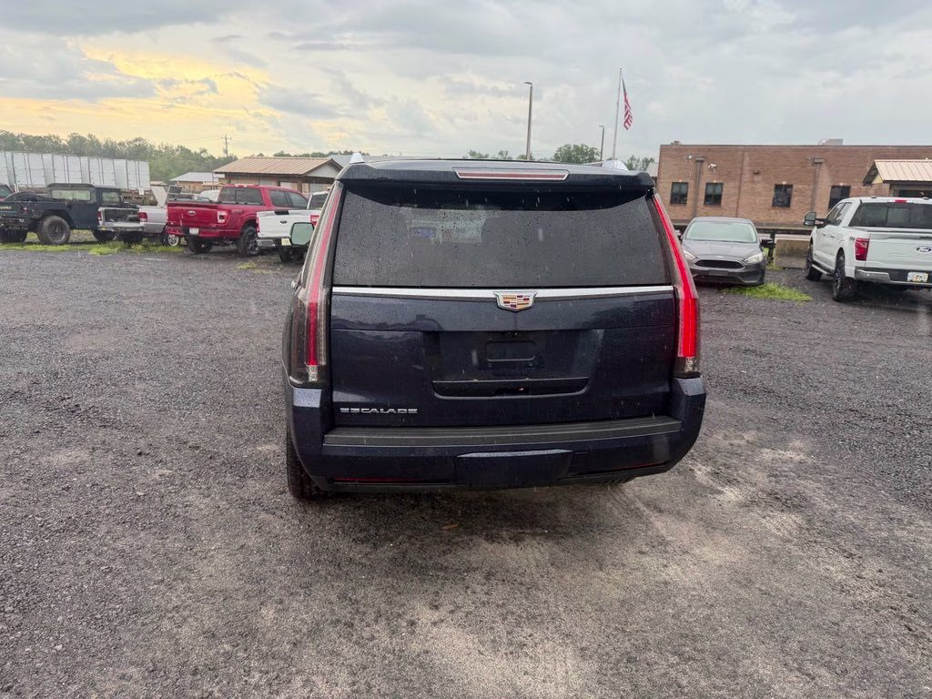 2019 Dark Adriatic Blue Cadillac Escalade Luxury 4X4 SUV
