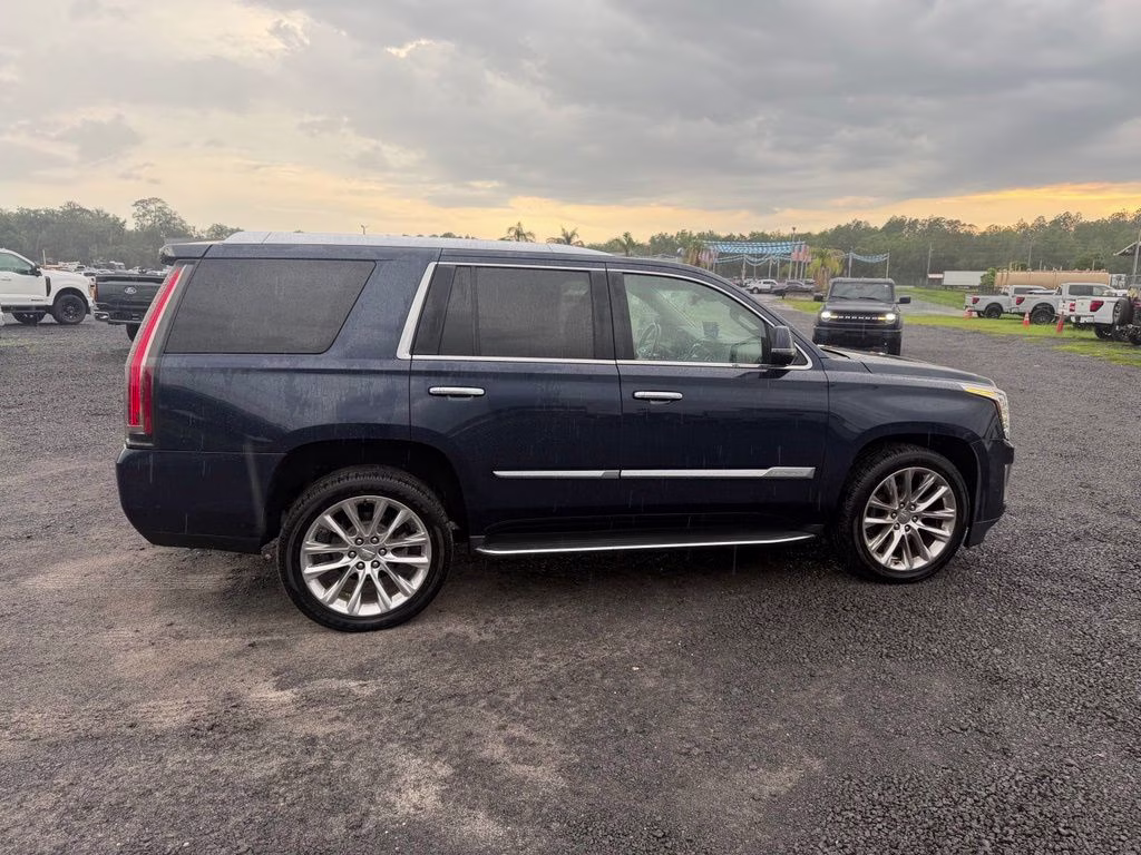 2019 Dark Adriatic Blue Cadillac Escalade Luxury 4X4 SUV